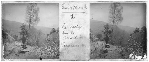 11 photographies stéréoscopiques légendées, prises en Allemagne à Lambrecht (vues 1-11) ; soldats français (vues 12-19) et paysages rhénans (vues 20-30), propriété non identifiée (vue 31).